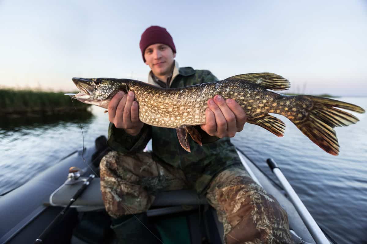 Young fisherman holding pike
