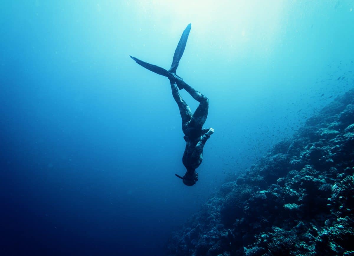 Freediver swim in the sea