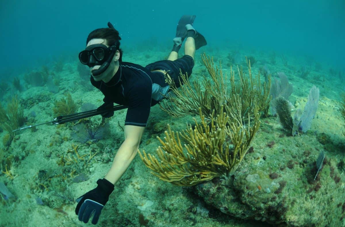 Man freediving with speargun